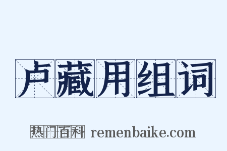 卢藏用组词是什么意思的图片